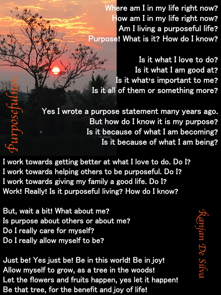 Purposefulness the poem June 16