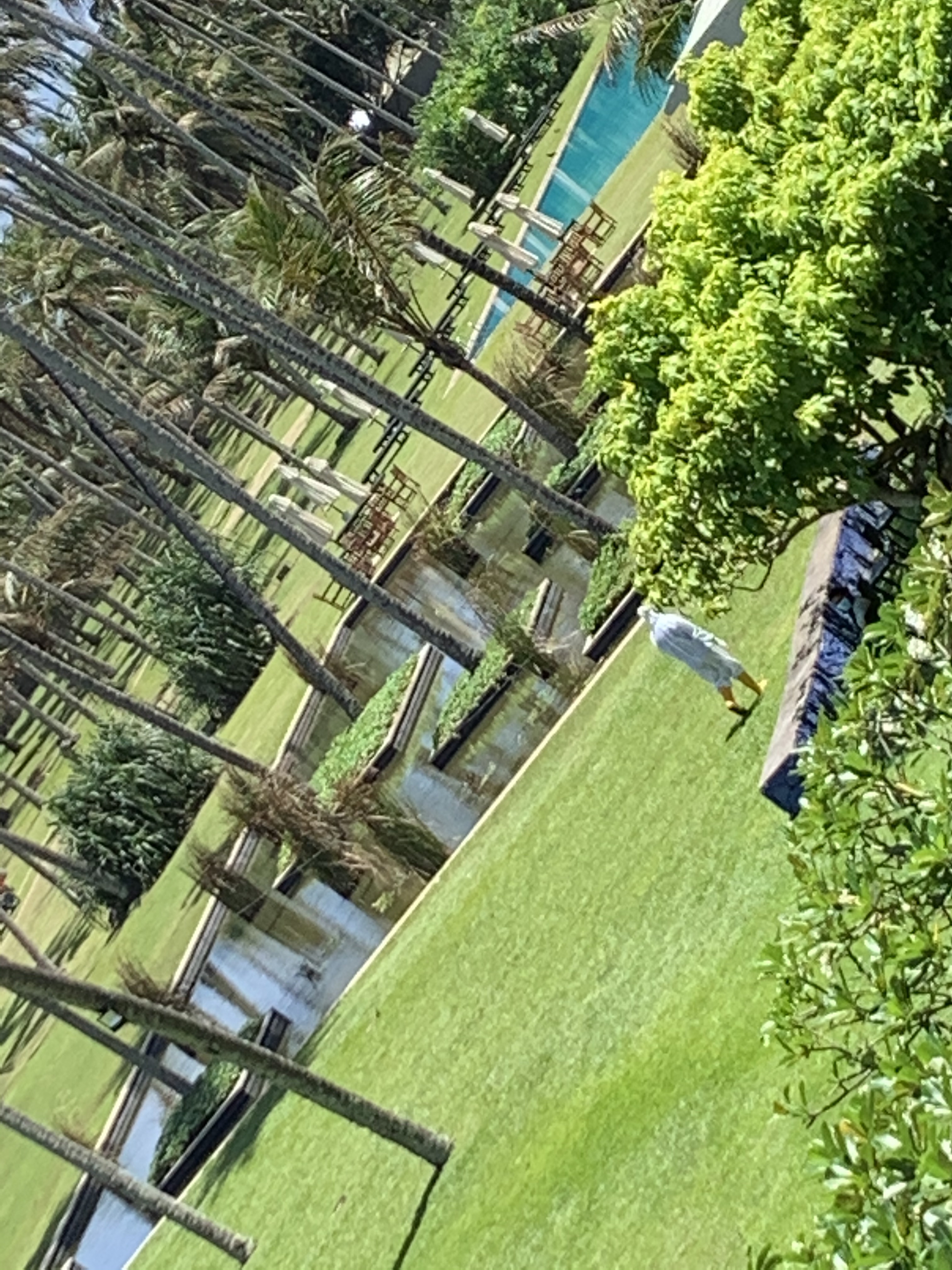 Blue Waters 2 June 2020